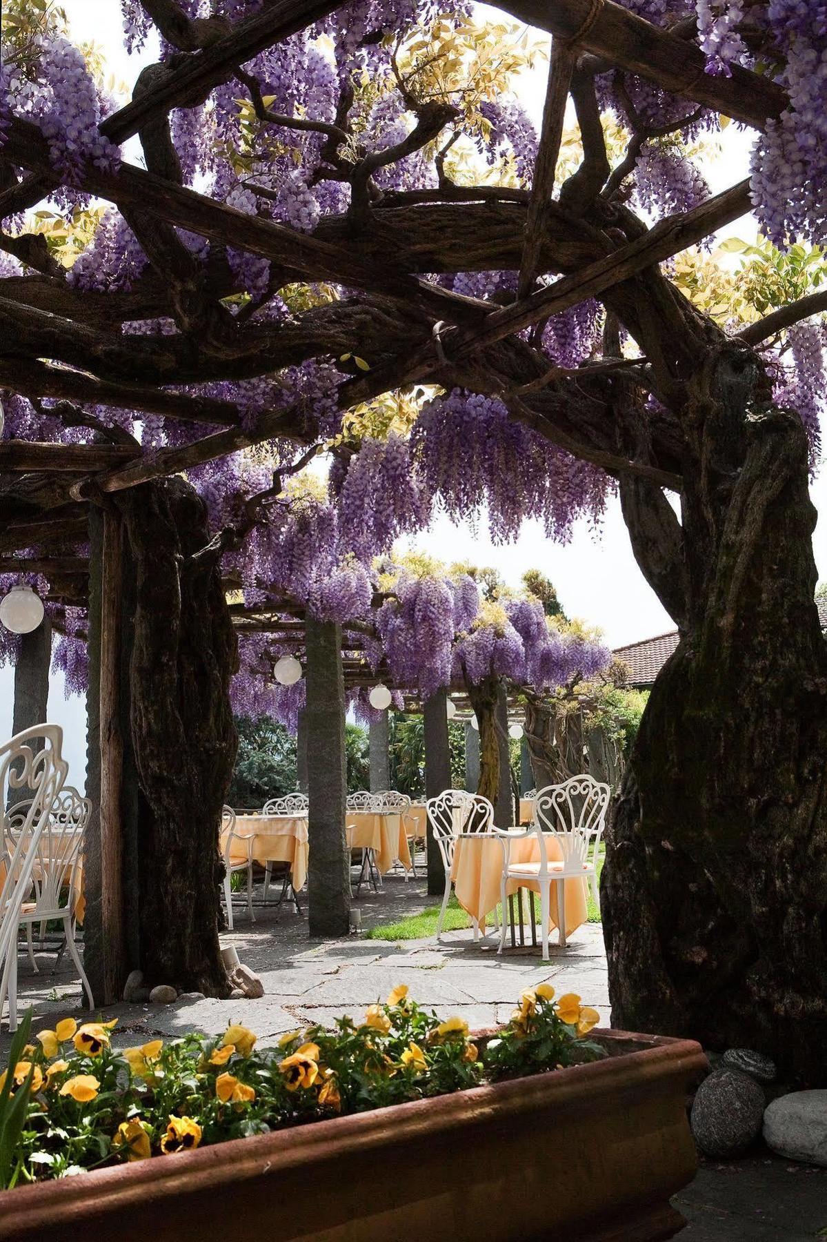 Hotel Ascona Exterior foto